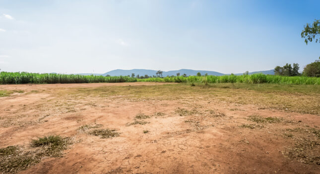 Holding a Piece of Land